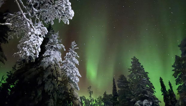 Tervakko - Foto 5, Inside other