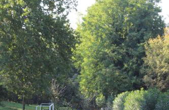 Corte Attilea - Foto 6