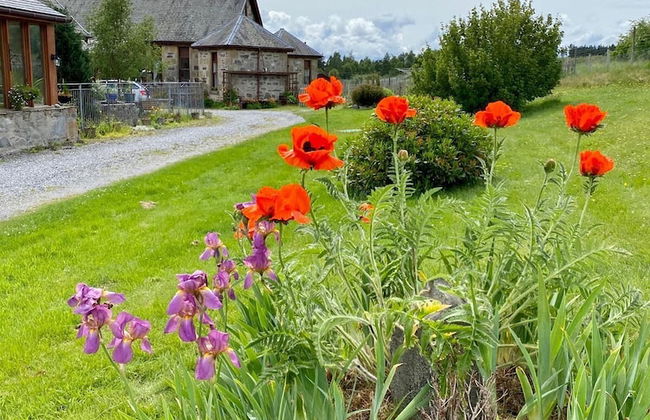 Shetland Cottage - Foto 14