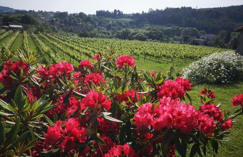 Casa da Portela - Sem Igual - Foto 20