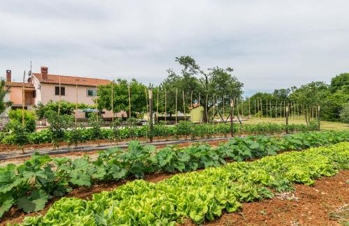 Apartments Korina - Photo 32