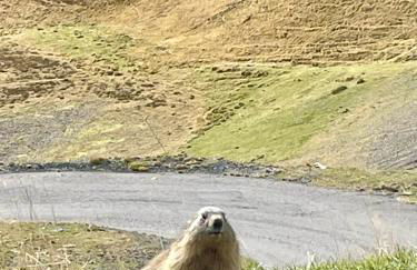 Nid cosy avec vue montagne, proximité commerce, 100 m des télécabines - Foto 25