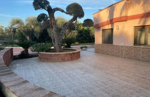 Villa Meraviglia - Foto 17