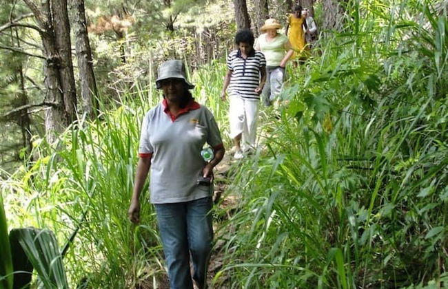 Explore Central Srilanka - Foto 32