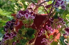 Studio Despoina - Foto 34