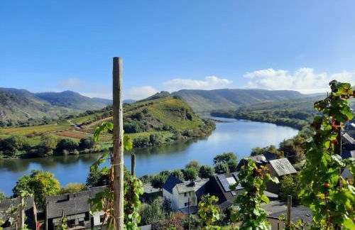 Winzerhaus Schenk - Photo 12