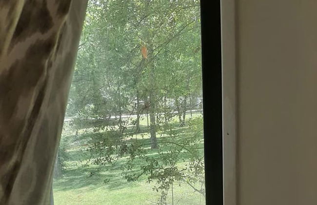 Birdsong Resort Marina Lakeside RV - Foto 31