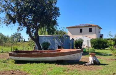 Appartamento Rosa Bianca A Vada - Foto 2