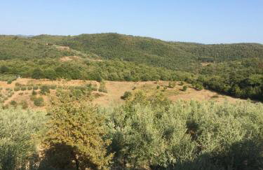 La casina del Poggio - Photo 14