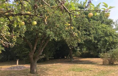 Locks Lane Cottage - Photo 28