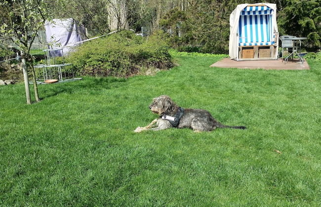 Hus Mattgoot - Foto 21