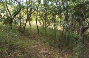 Chácara em Piracaia - Photo 26