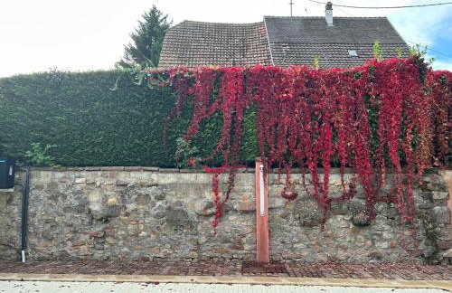 Gite familiale avec piscine Hunawihr, proche de Ribeauvillé et Colmar - Foto 38