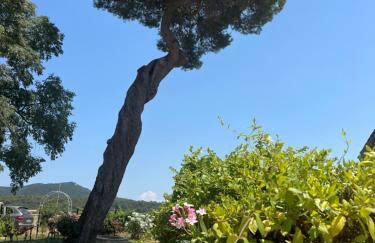 A l Aube du Midi - Foto 11