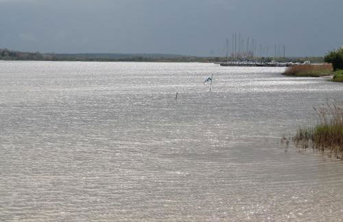 Charmante Ferienwohnung mit Garten in Wiek - Foto 56