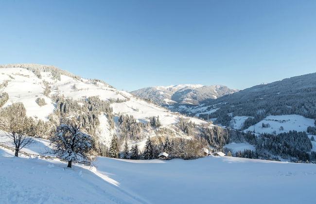 Apartment in Sankt Johann im Pongau Near Ski Area - Photo 80