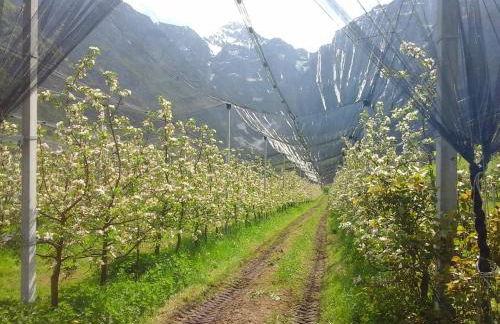 Agriturismo Pian Dei Tass - Foto 21