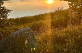 Czapla i Żuraw - Foto 42