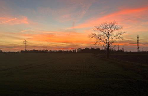 Nordsee Ferienhaus A und O - Foto 25