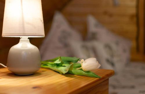 Chaty Anety Domki Całoroczne - Foto 43