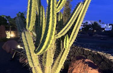 Villa Patos - Photo 44