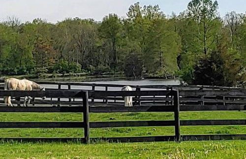 102 Acre Pet Friendly Horse Farm! Bring your horse too! - Foto 3