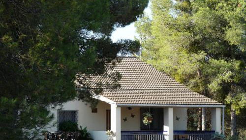 La Ruella - Foto 3, Garden