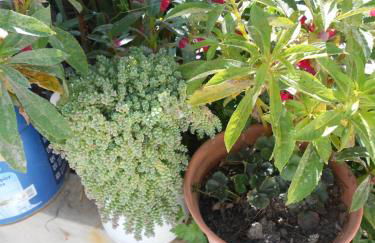 Moradias Ode - Photo 41