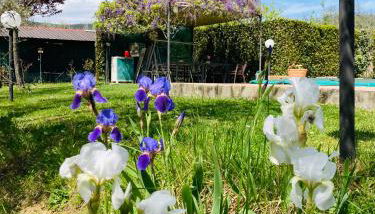 Le Coccole Del Trasimeno - Foto 5