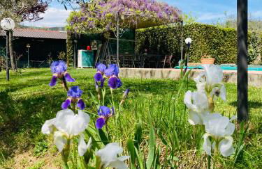 Le Coccole Del Trasimeno - Foto 5