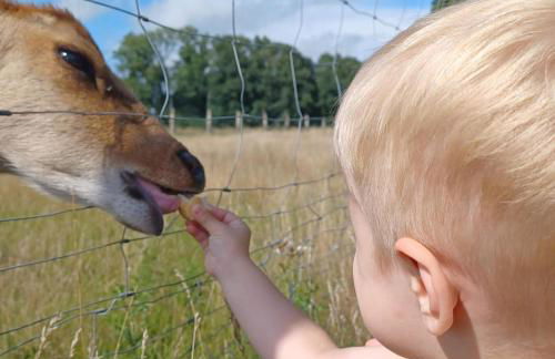 Gutshaus Pinnow - Foto 39