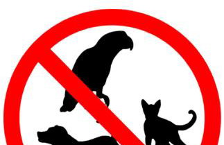 Apartamenty Świnoujście -Seaside Garden 52 - Foto 22