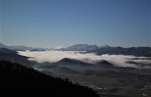 Mesoncillo NEO - Foto 58