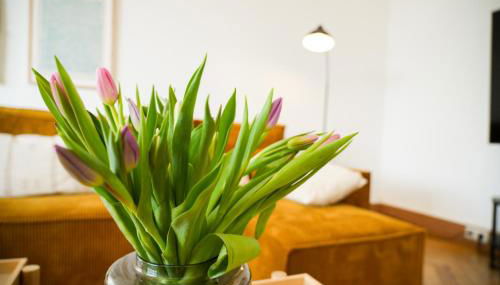 Charmante Altbauwohnung, 2 kostenfreie Parkplätze - Foto 3