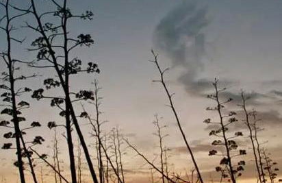 Estudio Delcabo - Foto 12