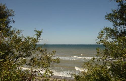 Gut Kattenhöhlen - Foto 38