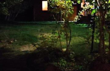 La Albarina - Foto 2