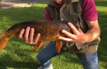 Luxury Kingfisher Lodge, Isis Lake, within the Cotswold Waterpark - Foto 56