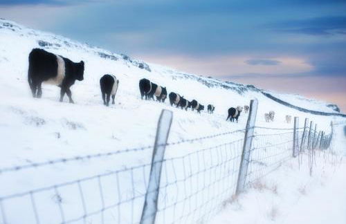 Linton Court Coach House - Foto 11