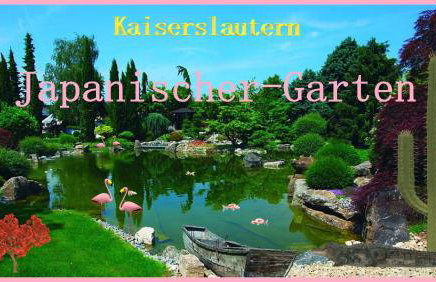 Appartements 4U Rodenbach - Foto 40