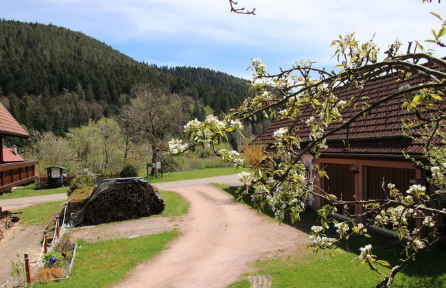 Backhäusle - Foto 17