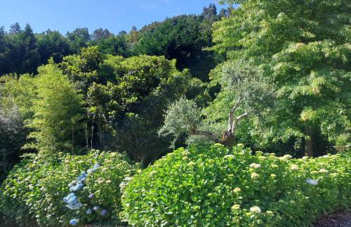 Casa do Penedo - Quinta de Fundevilla - Foto 43