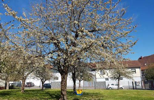 Ferienwohnung/Monteurwohnung im schönen Odenwald - Photo 27