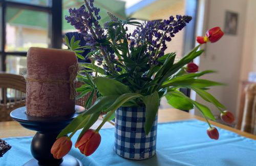 Ferienhaus Wacholderhain - Photo 34