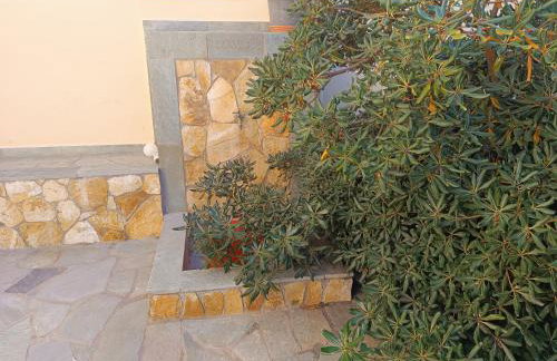 Hermione Horizon - Foto 38