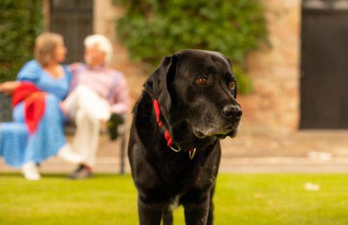 Balnagown Estates - Foto 80