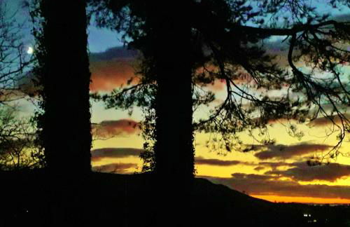 Sea Moss Cabin - Foto 40