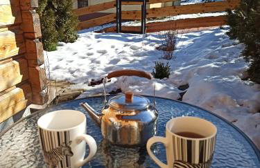 Chata z widokiem na Babią Górę - Foto 49