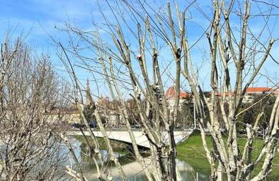 Kiki house Lungarno - Foto 16