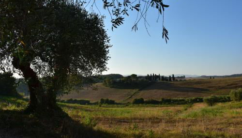 Agriturismo Cheloni - Foto 5, Garden